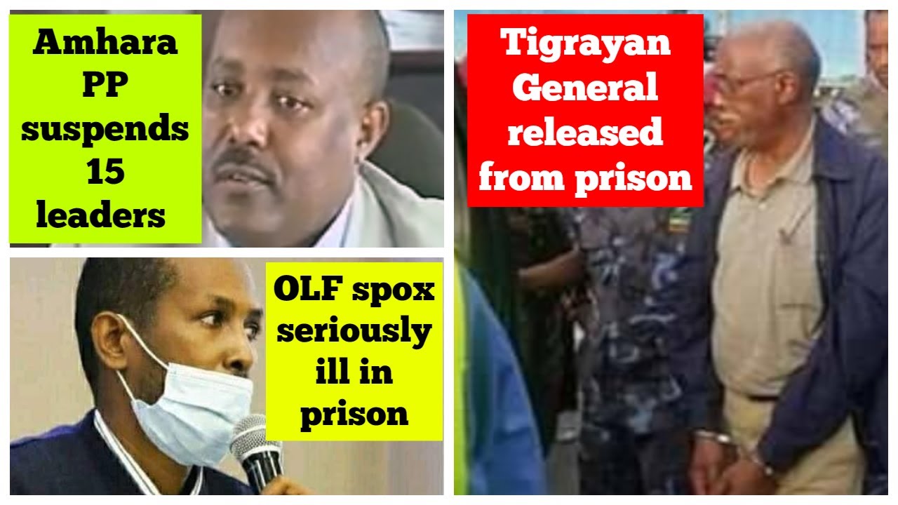 Tigrayan General released | Amhara PP suspends 15 leaders over financial irregularities | OLF spox