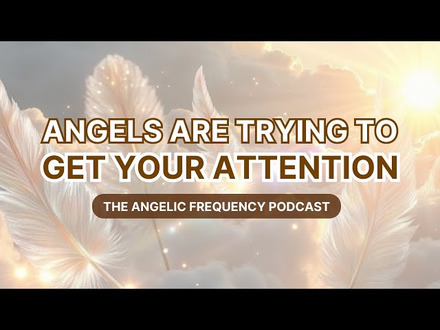 Ep. 16 - Signs From the Divine: Angel Numbers, Feathers, and How