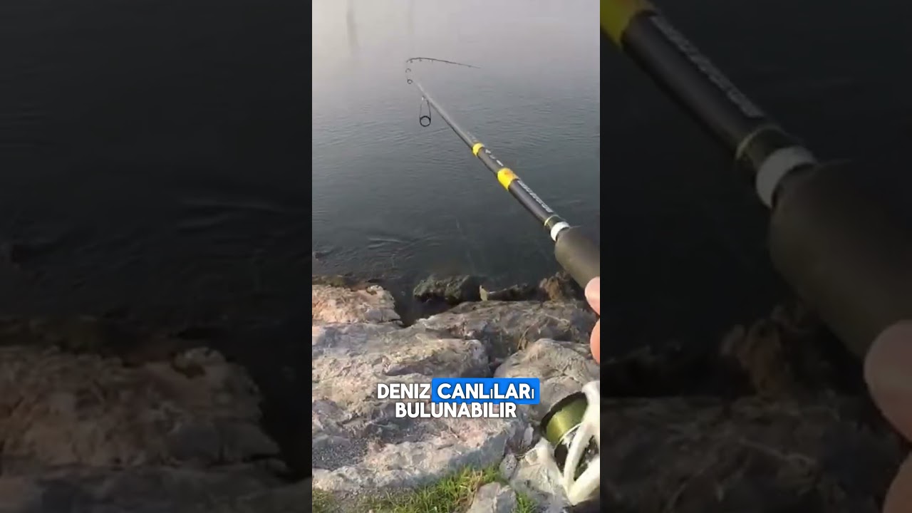 LEVREK NASIL AVLANIR