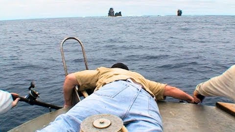 Running and Gunning on Yellowtail: Cedros Island