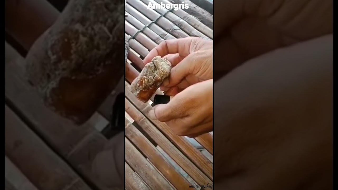 fishermen find ambergris whale vomit over 1 million dollar 