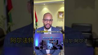 阿联酋阿尔法特集团入股比亚迪，成为比亚迪的战略投资者 #中东 #阿拉伯 #投资 #比亚迪 #电动汽车 #港股 #股票