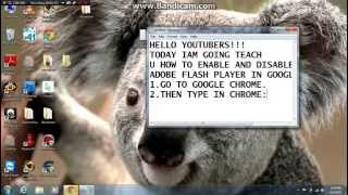 Celebrity HOW TO ENABLE AND DISABLE ADOBE FLASH PLAYER IN CHROME Profile