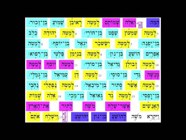 Shlach 16