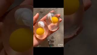 প্লাস্টিক ডিম কিভাবে তৈরি || Plastic dim || State Food Review Short Vide #shorts #short Food #short