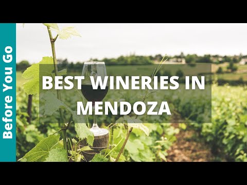 7 Best WINERIES & BODEGAS in Mendoza, Argentina. DRINK TILL YOU DROP!
