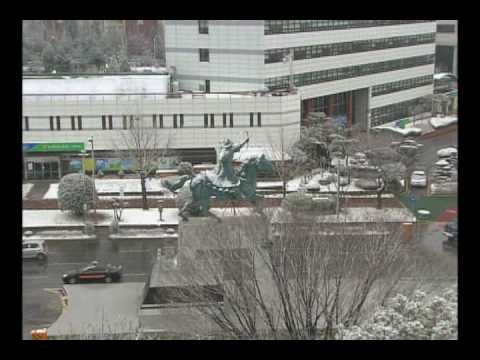 눈 내리는 창원 (2010. 12. 30)