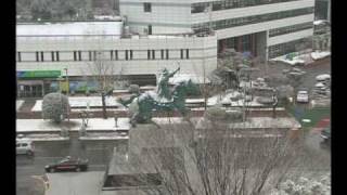 눈 내리는 창원 (2010. 12. 30)