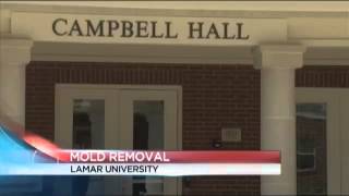 Lamar removing mold from student apartments