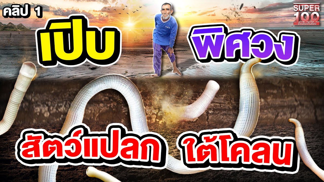 คลิป 1 | บังสัก ตามหาสัตว์แปลกใต้โคลน "วาวะ" คืออะไร ? กินได้ด้วย ! | SUPER100