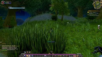 Hogger kill and tactics Retail