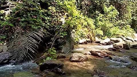 Khám phá thác nước bí ẩn cực đẹp trong rừng sâu tuyệt đẹp