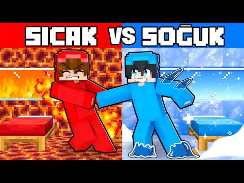 Tofi vs Moni: