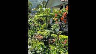 Rumah & Laman Cantik!