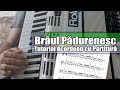 Tutorial &quot;Brâul Pădurenesc&quot; pentru Acordeon (Cu Partitura)