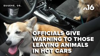 Officials warn leaving children and animals in hot cars as temperatures rise