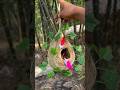 Amazing Handmade Bird Nest House #viral #shorts #foryou