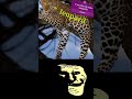 Sigma boy vs leopard #anime #edit #song #goodthing #music