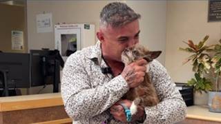 Owner and pet reunite after being lost on the Fourth of July