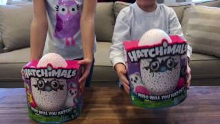 Hatchimals Hatching One Works, One Fails