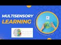 Multisensory instruction is what all dyslexia specialist do  why and what exactly does that mean