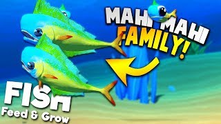 UNLOCKING NEW MAHI MAHI AND STARTING A MAHI MAHI FAMILY! | Feed And Grow Fish SURVIVAL Gameplay screenshot 4