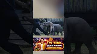 Khi Khuyết Điểm Lại Trở Thành Điều Kỳ Diệu Nhất #hoathinh #review #titonreviewphim #titonreview