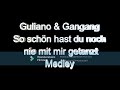 Sinti musik so schn hast du noch nie mit mir getanzt medley