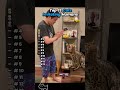 Blackcats Funnycats Catsof Fyp Foryou