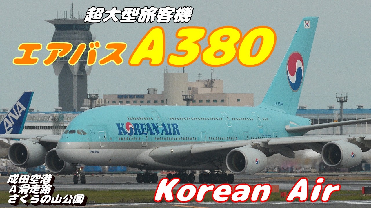 4K】成田空港 さくらの山公園 コリアンエア 超巨大旅客機エアバスA380