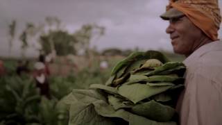 AJ FERNANDEZ CIGAR COMPANY - DOCUMENTARY