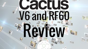 cactus v6 and rf60 review
