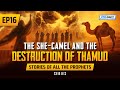 The She-Camel & The Destruction Of Thamud | EP 16 | Stories Of The Prophets Series