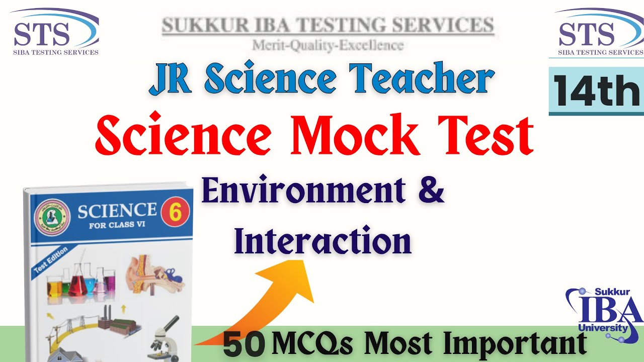 JST Preparation 2025 | 14th Mock Test | STS IBA BPS-14 Teaching Jobs