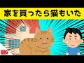 新築戸建てを買ったら猫までついてきたwww