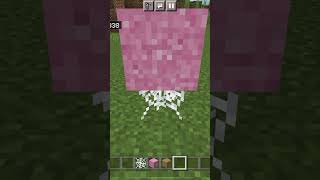 Satisfying Concrete Powder With Cobwebs (Minecraft)