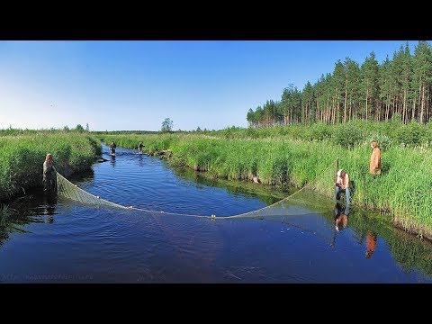 видео: #16 Необычные случаи на рыбалке!