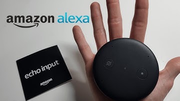 Amazon Echo Input | Tiny Alexa Smart Hub