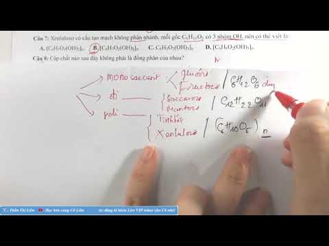 Video LÝ THUYẾT VÀ CÁCH GIẢI BÀI TOÁN TRỌNG TÂM CHƯƠNG 2 -... - youtube