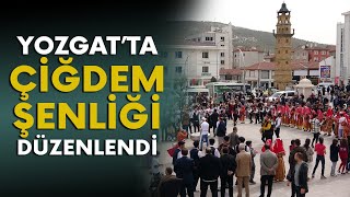 Yozgat’ta çiğdem şenliği düzenlendi