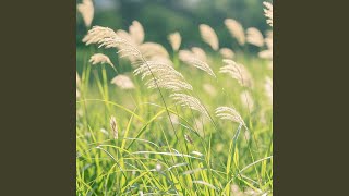 Soft Breeze Through Her Hair screenshot 5