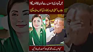 Mpa Warns Maryam Nawaz Yeh Cheez