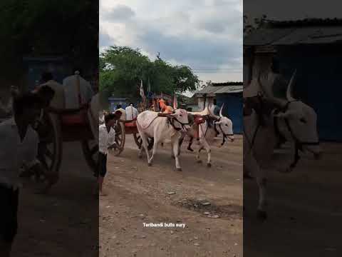 ಉದಗಟ್ಟಿ ಮೈದಾನ ಲೈವ್ ವಿರುತ್ತದೆ
