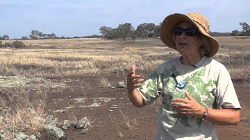 Episode 3 − Module 2: Indigeneity I - In the field with Annie Ross Part I