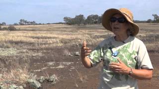 Episode 3 − Module 2: Indigeneity I - In the field with Annie Ross Part I