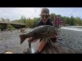 Every Fish I Catch I Catch It's Predator Next