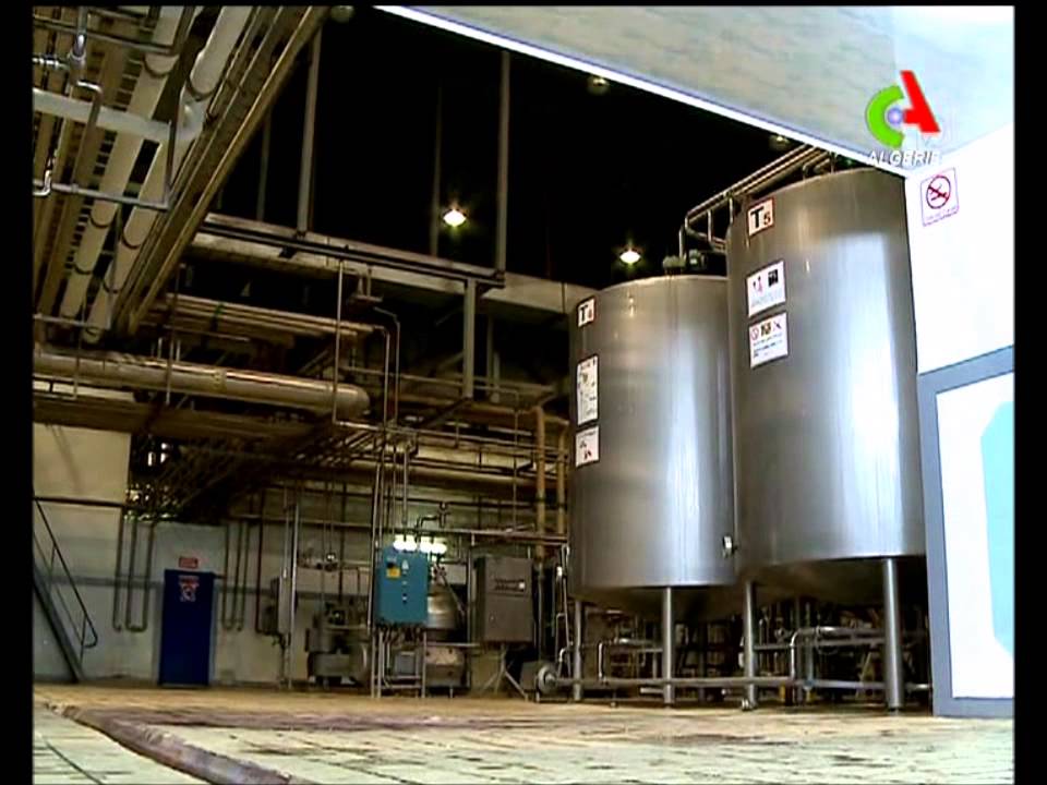 canal algerie laiterie tell