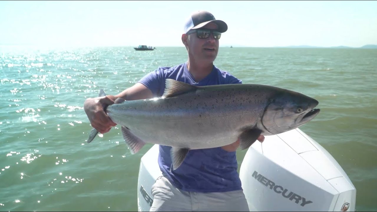 Рыбное безумие в Ванкувере