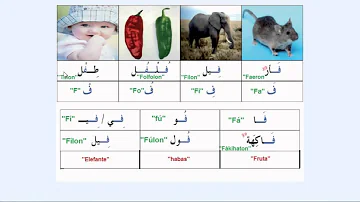 ¿Cómo es la letra f en árabe?