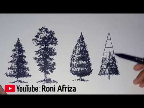Video: Cara Menggambar Cabang Pohon Cemara